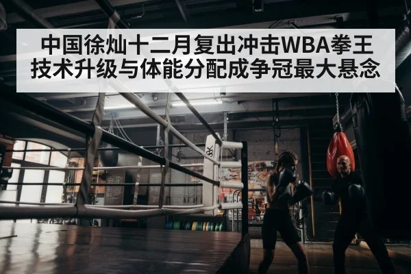 boxer training | nine game
